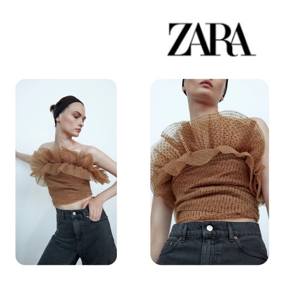 NWT Zara Nude Tulle Crop Top - Picture 1 of 8